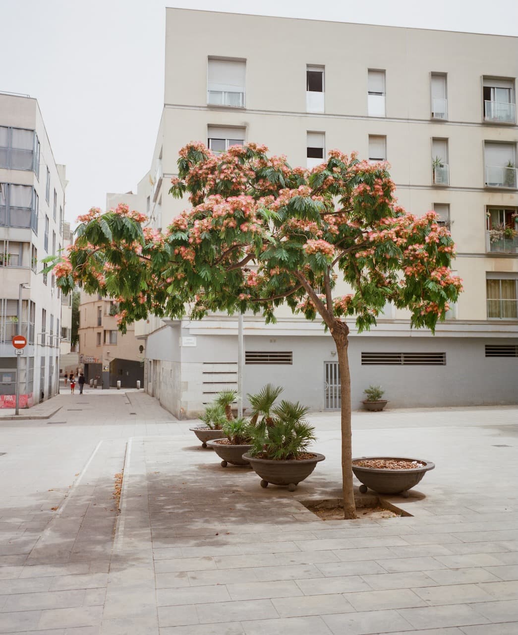 Barcelona, Spain — 5 of 5